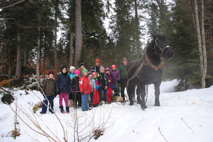 Gruppenfoto im Schnee mit Kindern und einem Pferd bei einer Exkursion zur Pferderückung.
