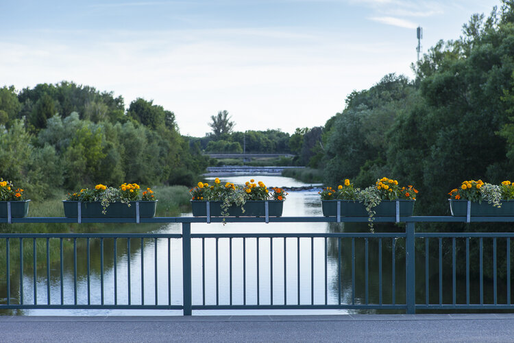 Die Brücke über die Traisen ist mit Blumen geschmückt. 