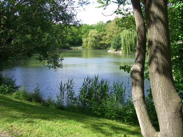 Park mit Teich
