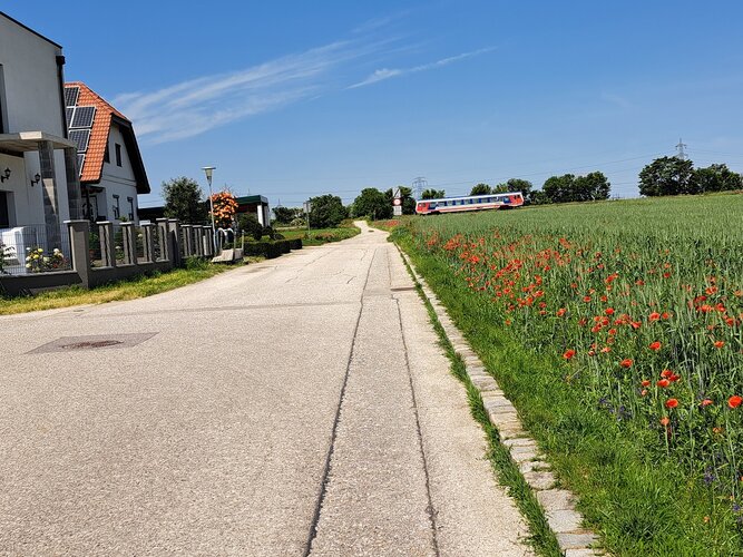 Links von einer Straße sind Häuser und rechts Wiese mit Blumen und dahinter fährt ein Zug.