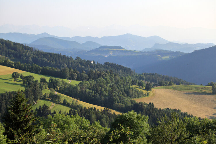 Blick über eine bergige Landschaft mit grünen Wiesen und Wäldern
