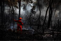 Feuerwehrmann in Uniform steht in einem ausgebrannten Wald
