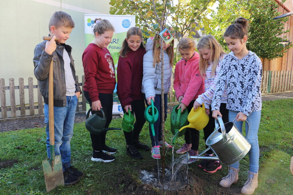 Schülerinnen und Schüler beim Baumpflanzen 