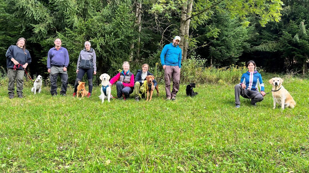 Hundehalter:innen mit ihren Hunden vor einem Wald