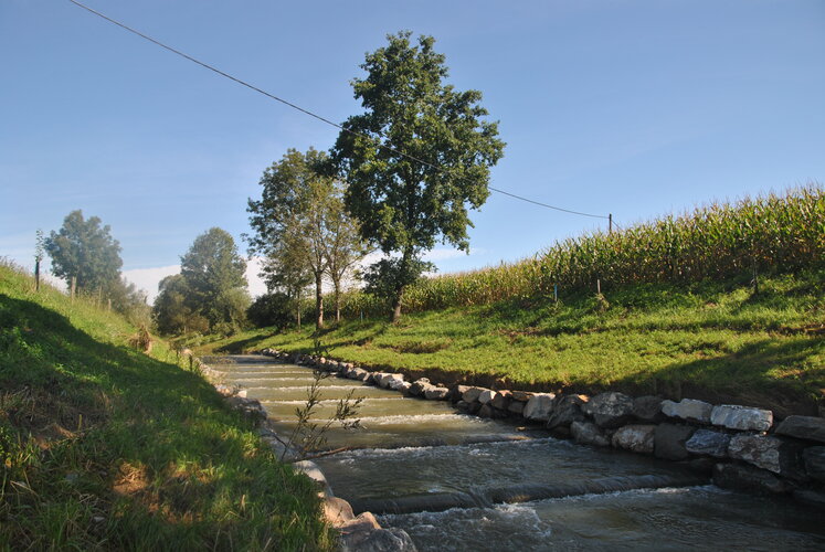 Fischaufstiegshilfe