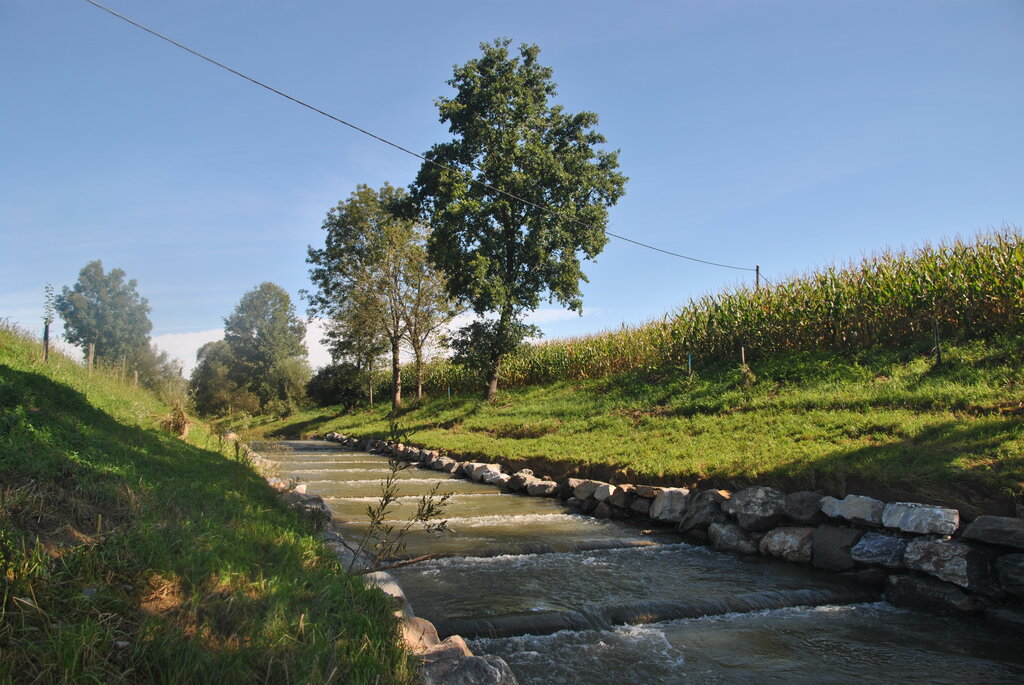 Fischaufstiegshilfe