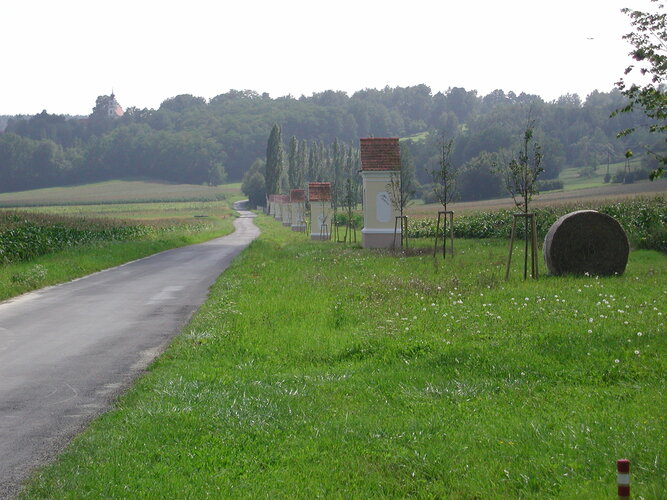 Eine Landstraße zieht sich durch die Landschaft, gesäumt von Marterln und jungen Bäumen.