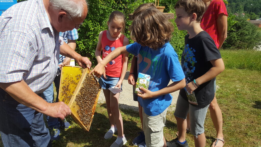 Kinder bei der Betrachtung von Bienen 