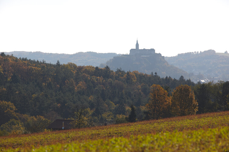 Landschaftsfoto der KLAR! Region mit Blick auf eine Burg