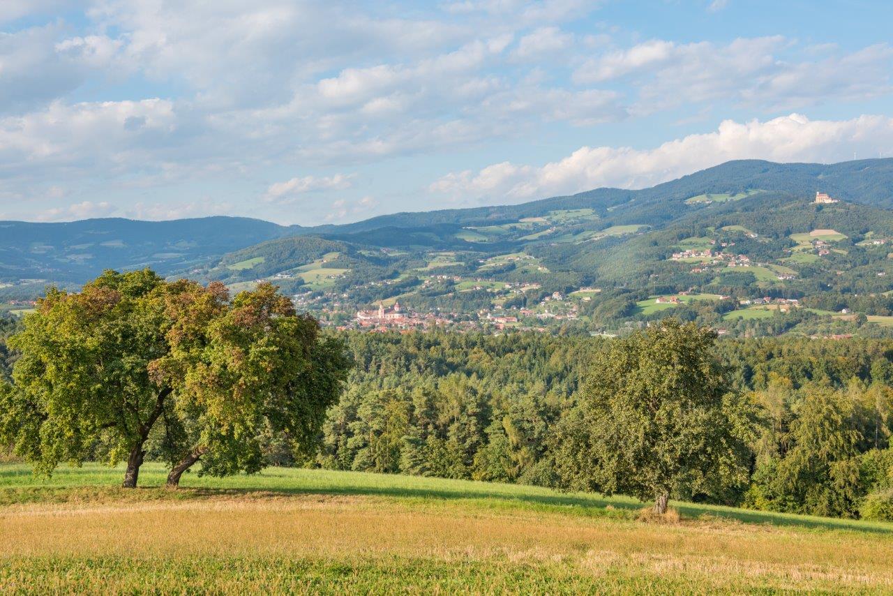 Landschaft in der KLAR!-Region Pöllauer-Tal.