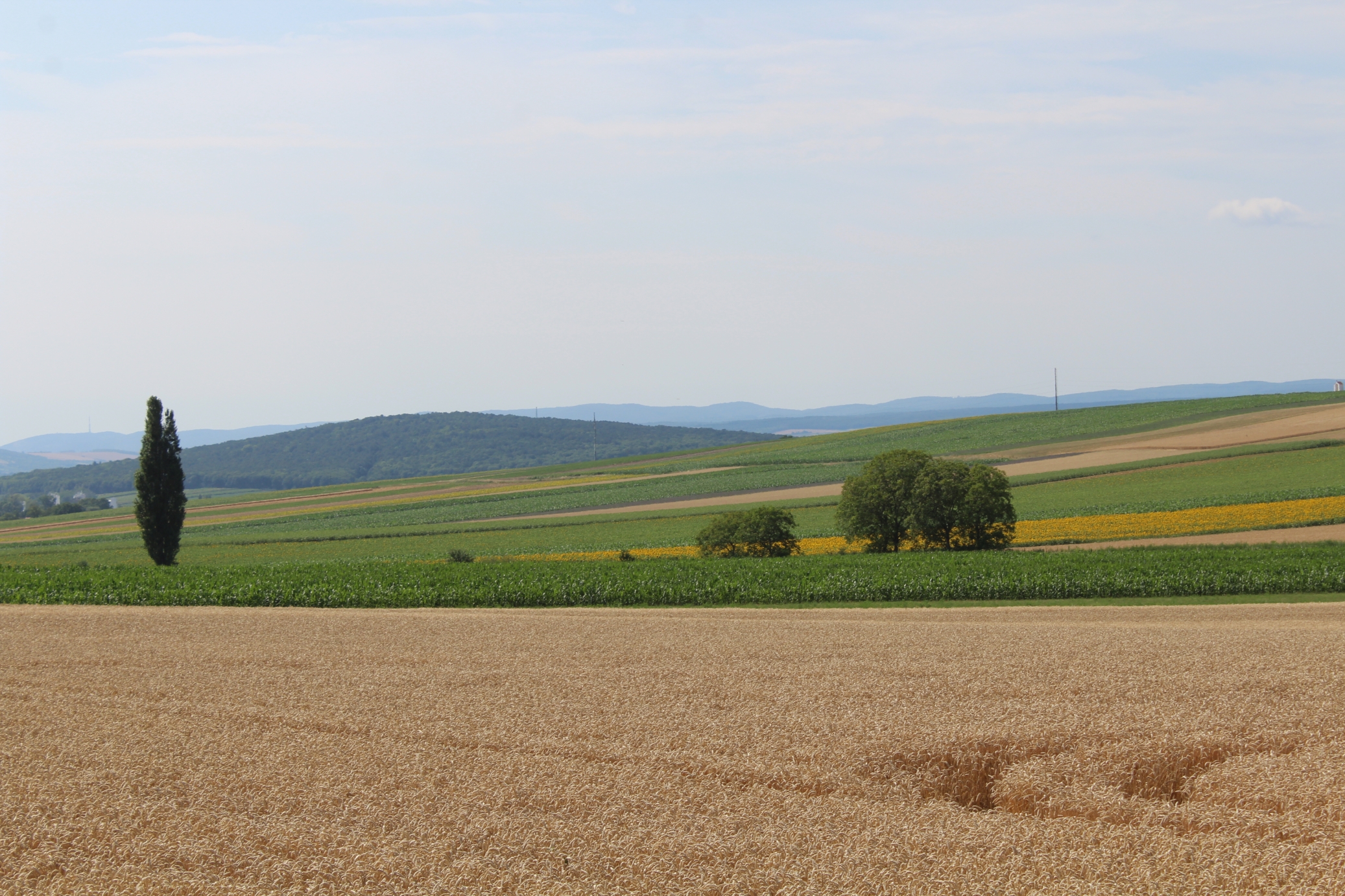 Landschaftsfoto der KLAR! Region 