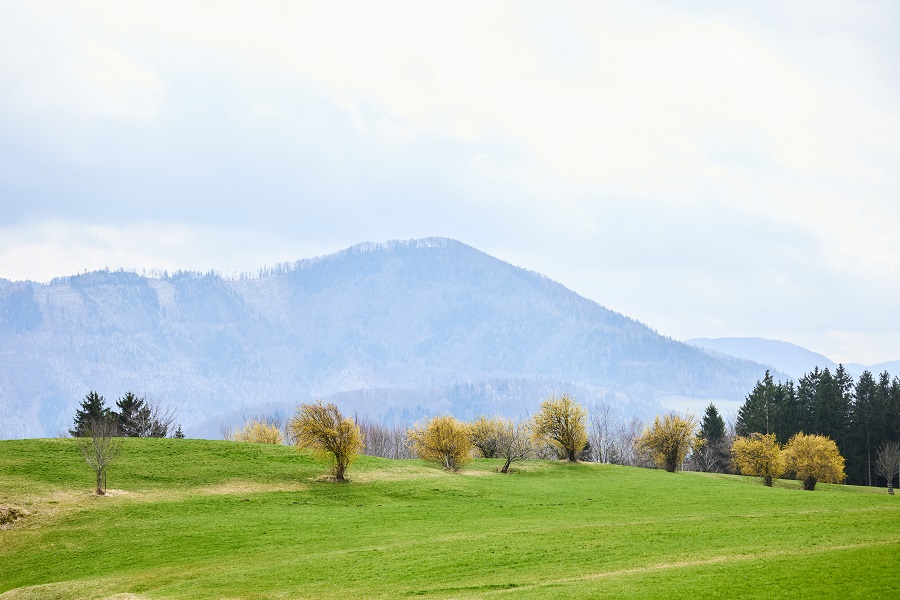 dekoratives Bild - Mostviertler Berglandschaft