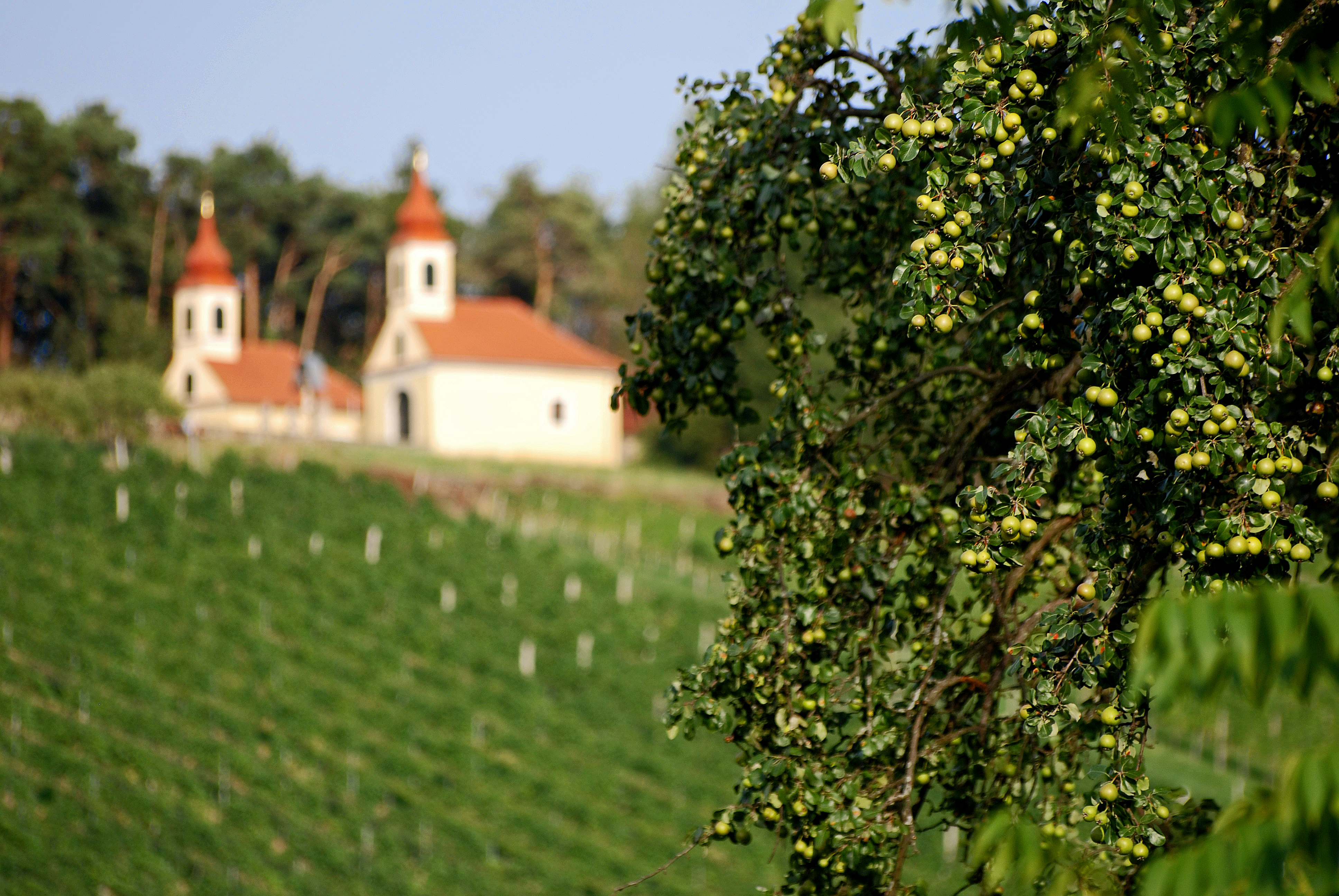 Blick auf Kirche