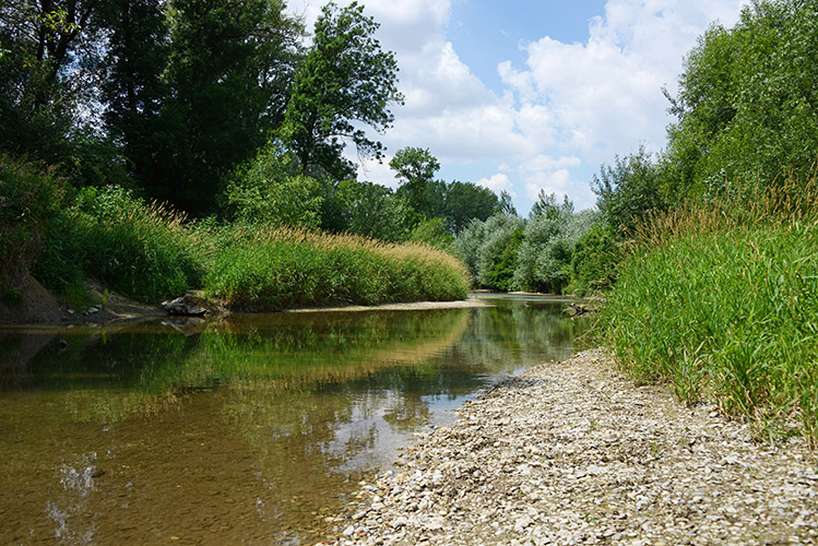 Links von einem Fluss sind Bäume und rechts davon Schotter und Gras. 